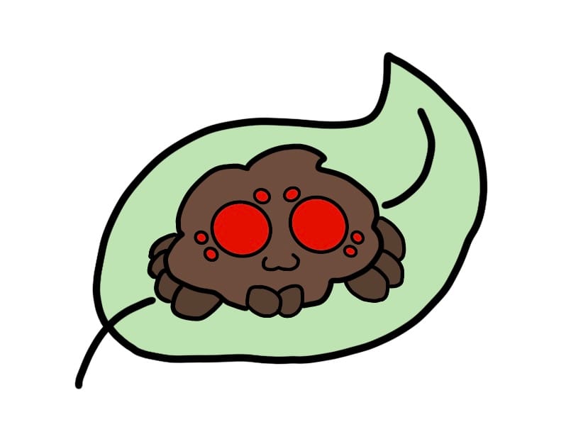 cute lil spider